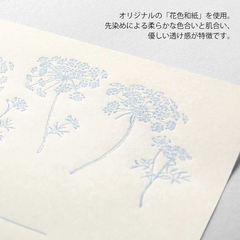 Papeteria Midori 317 Flower Color Washi Paper Biała