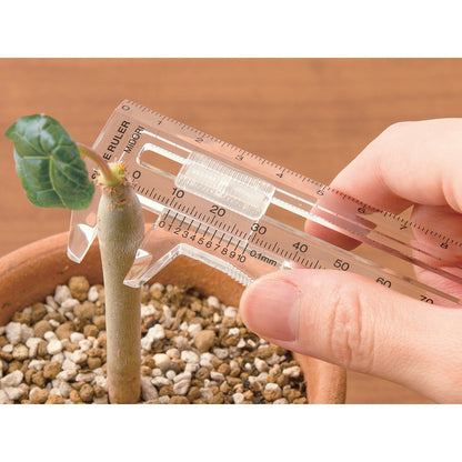 Midori Caliper 15 cm Transparent