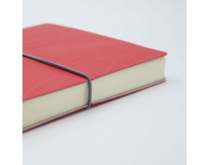 Daily Planner CIAK Evo 15x21 Coral