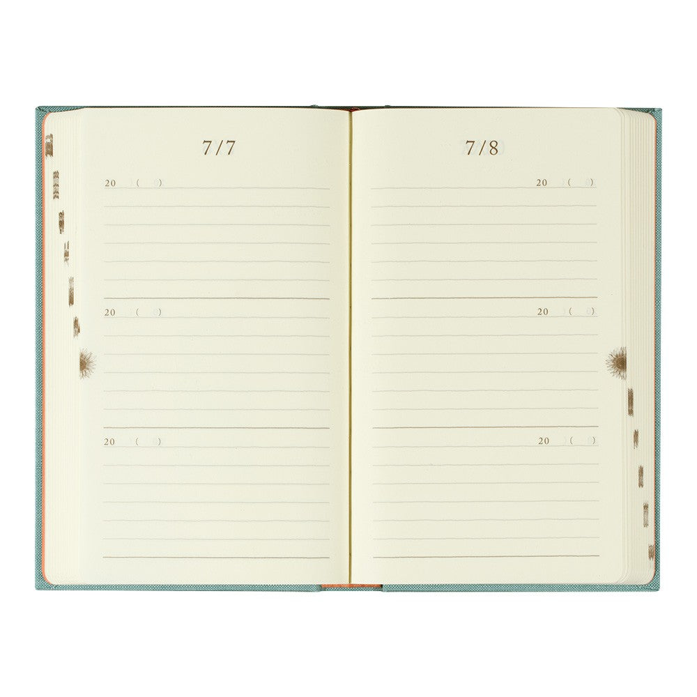 Pamiętnik Midori 3 Years Diary | Jasnoniebieski