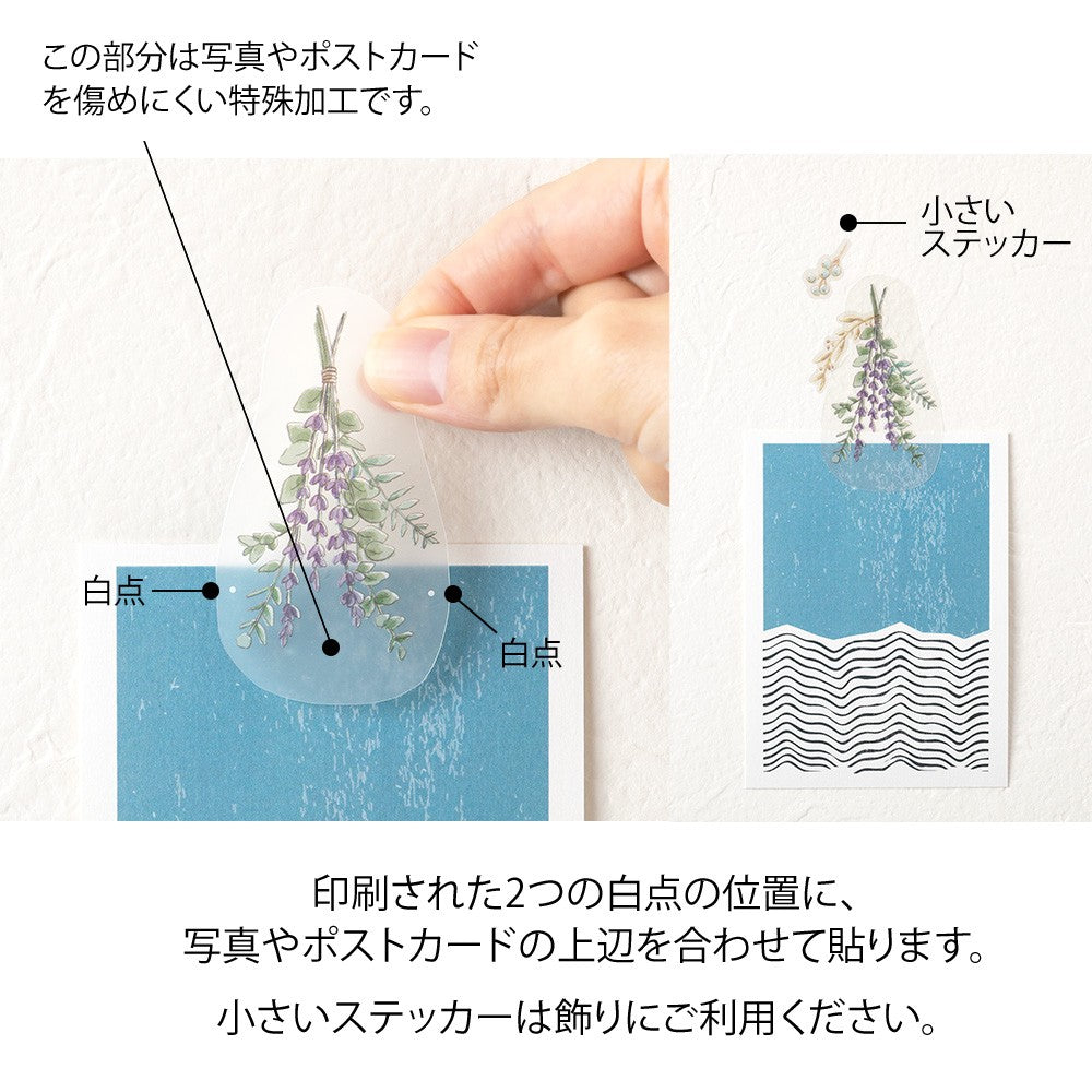 Clip Sticker Midori Dried Flowers