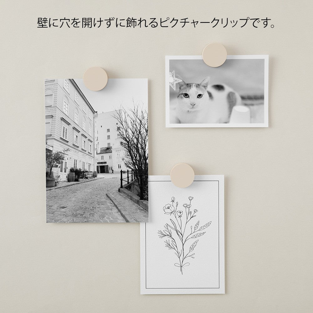 Midori Wooden Picture Clip Grey