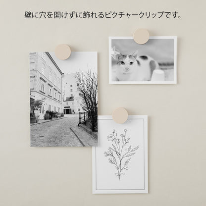 Midori Wooden Picture Clip Grey