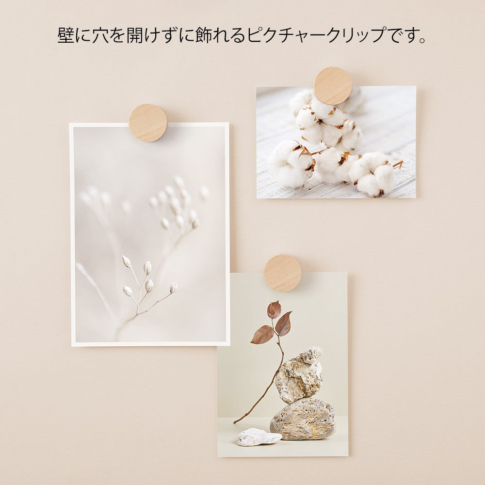 Midori Wooden Picture Clip Natural