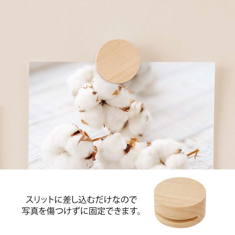 Midori Wooden Picture Clip Natural