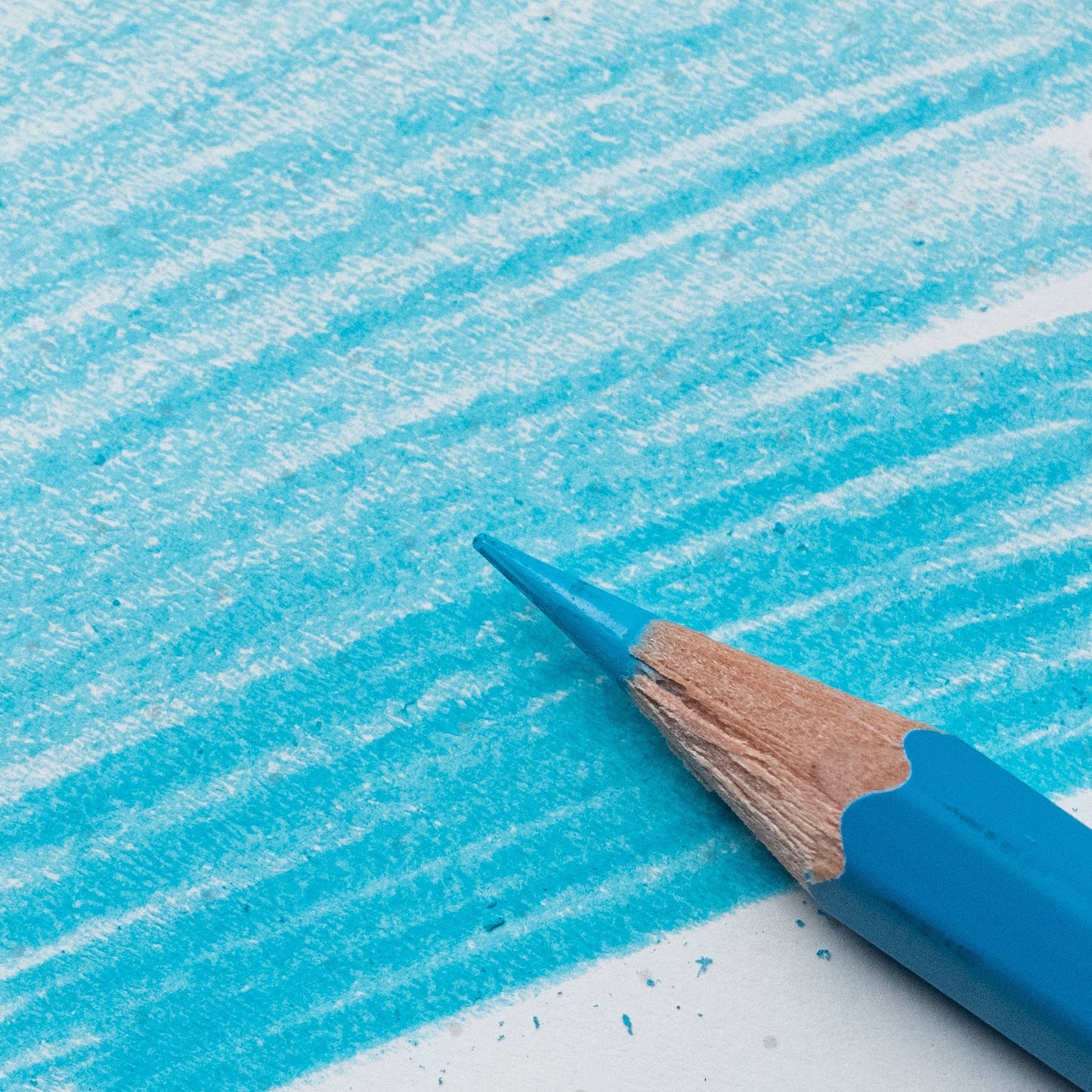 BLACKWING Blue Pencils | 6 Count