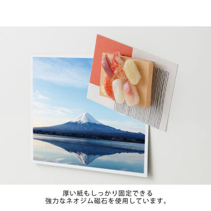 Midori Sushi miniature magnet
