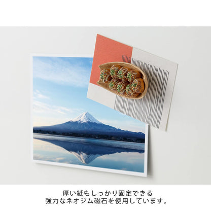 Miniaturowy magnes Midori Takoyaki